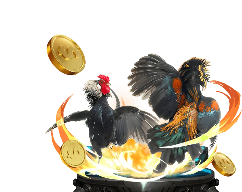 Giới thiệu tổng quan về nền tảng nbet